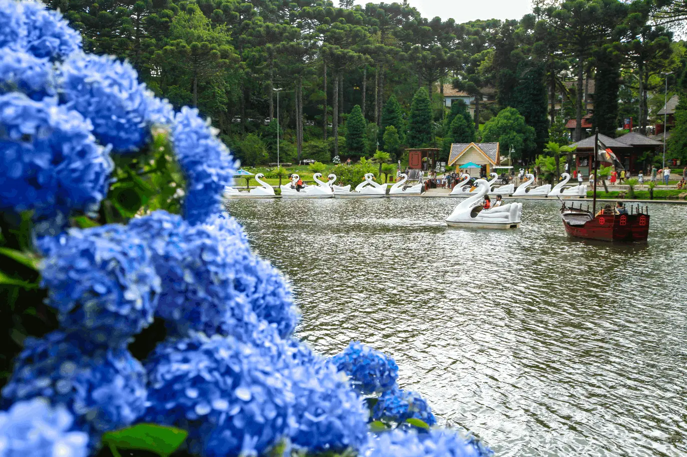 gramado-dreams-transfer